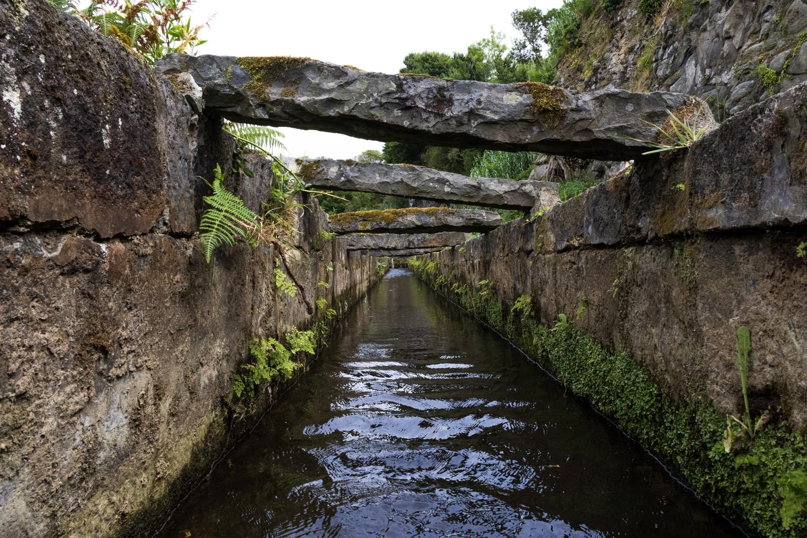 Mãe de Água - Ilha de São Miguel - Image 10