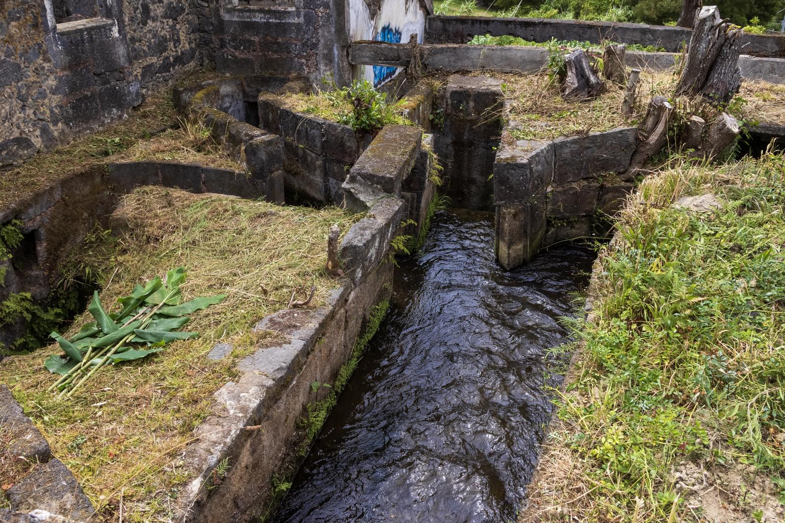 Mãe de Água - Ilha de São Miguel - Image 11