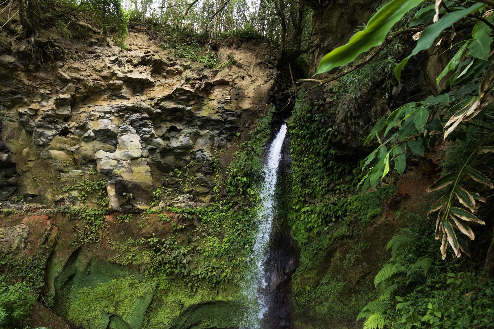 Mãe de Água - Ilha de São Miguel - Image 2