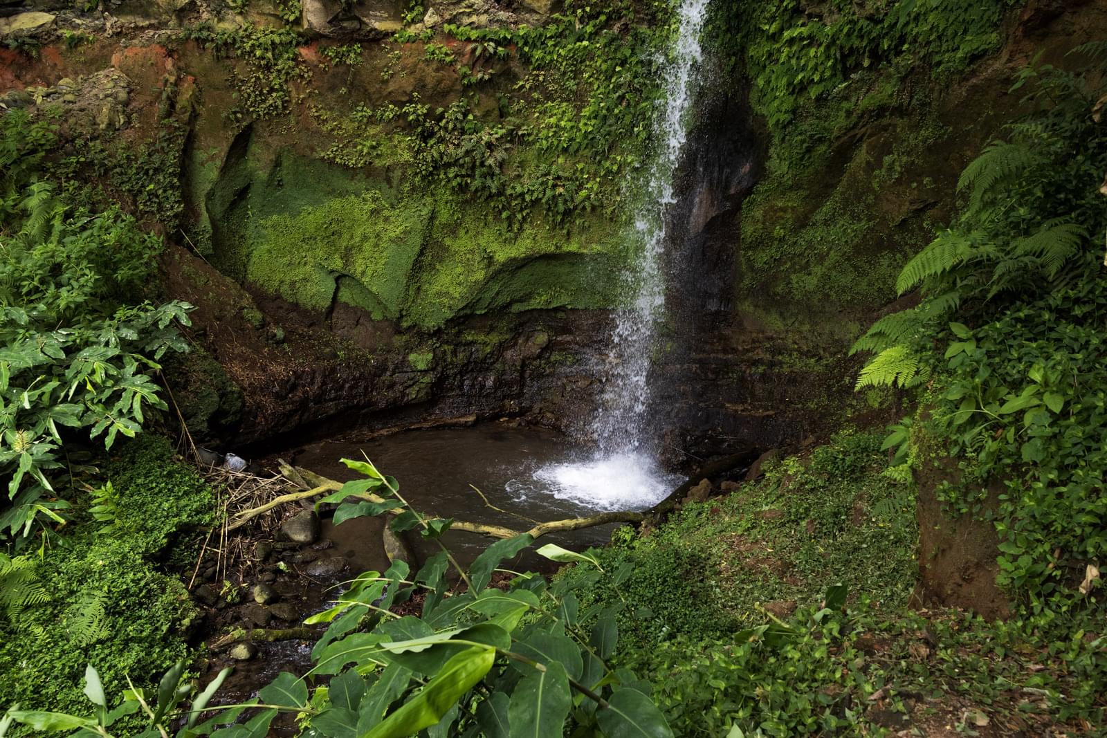 Mãe de Água - Ilha de São Miguel - Image 3