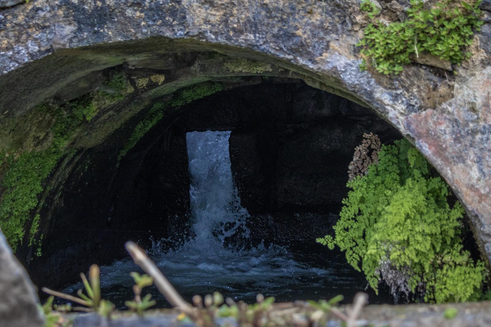 Mãe de Água - Ilha de São Miguel - Image 12