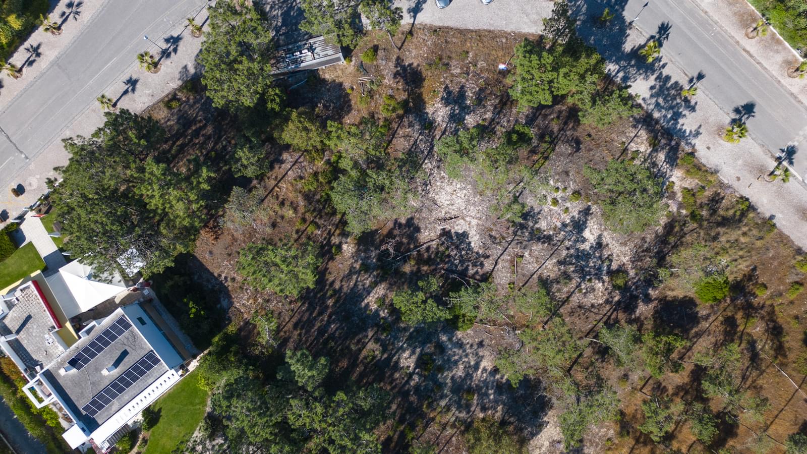 Plot 6139 m2, Soltroia, Grandola - Image 22