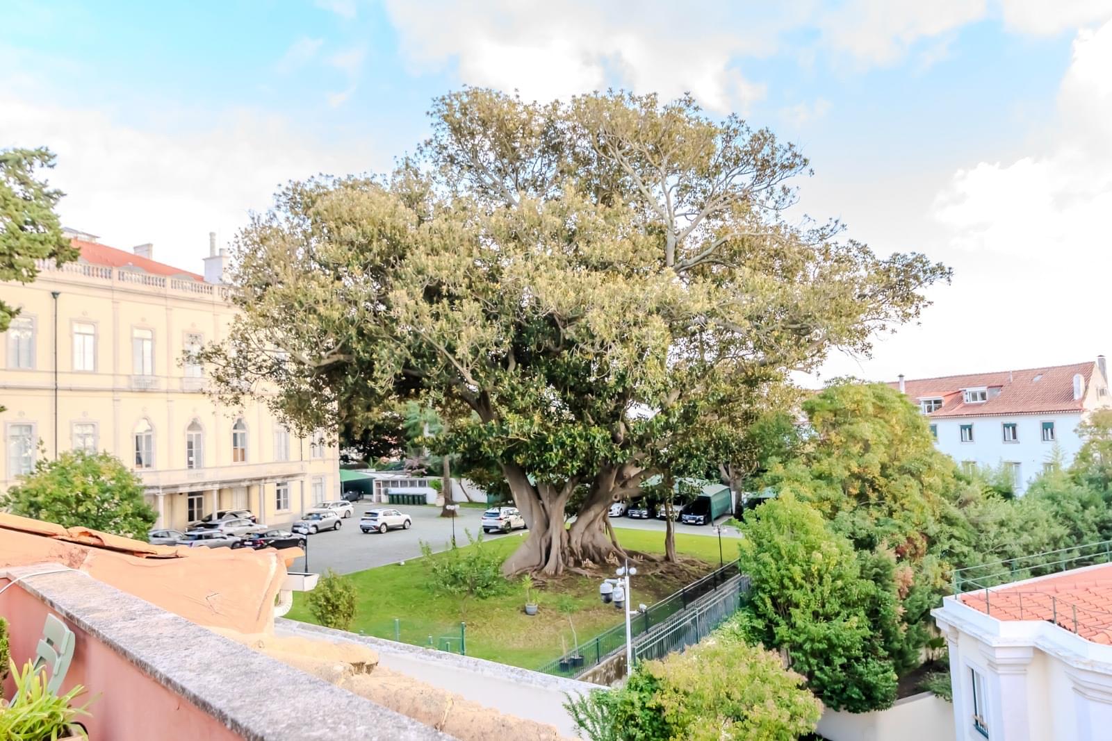 Duplex T1 + 1 com vista, Lapa, Lisboa - Imagem 11