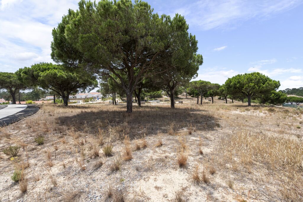 Plot 997 m2, Carvalhal, Grândola