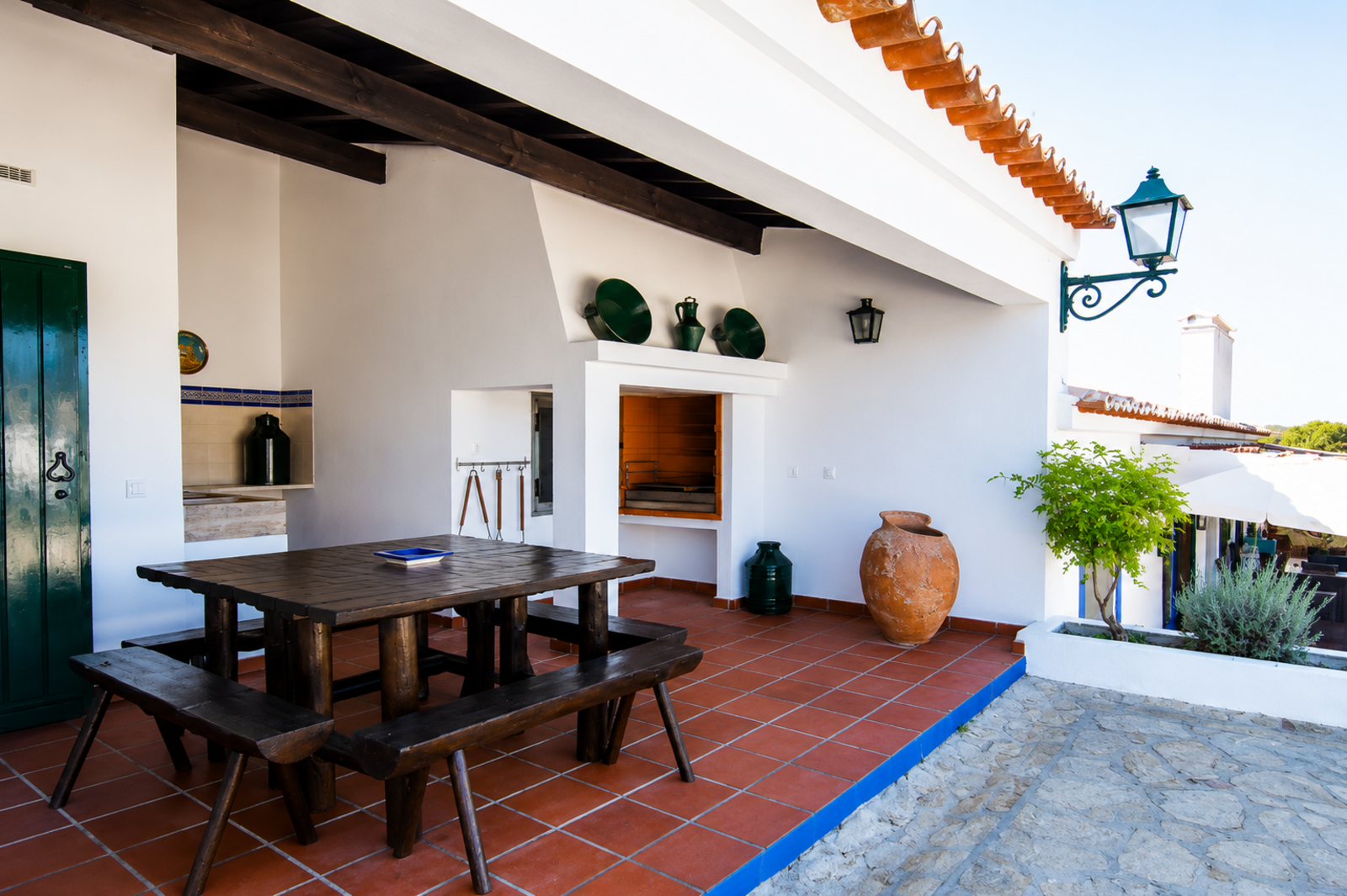 Quinta 13.9 ha, Alcáçovas, Viana do Alentejo - Imagem 13