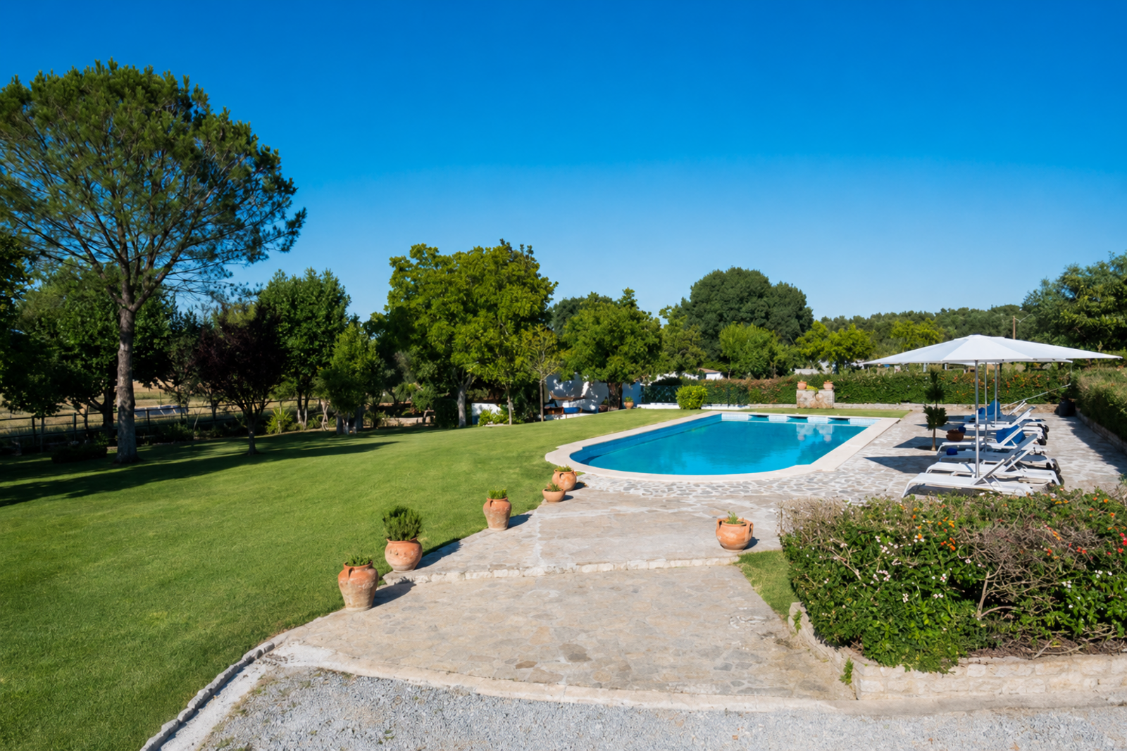 Quinta 13.9 ha, Alcáçovas, Viana do Alentejo - Imagem 29