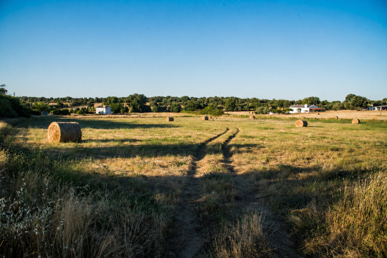 Quinta 13.9 ha, Alcáçovas, Viana do Alentejo - Imagem 38