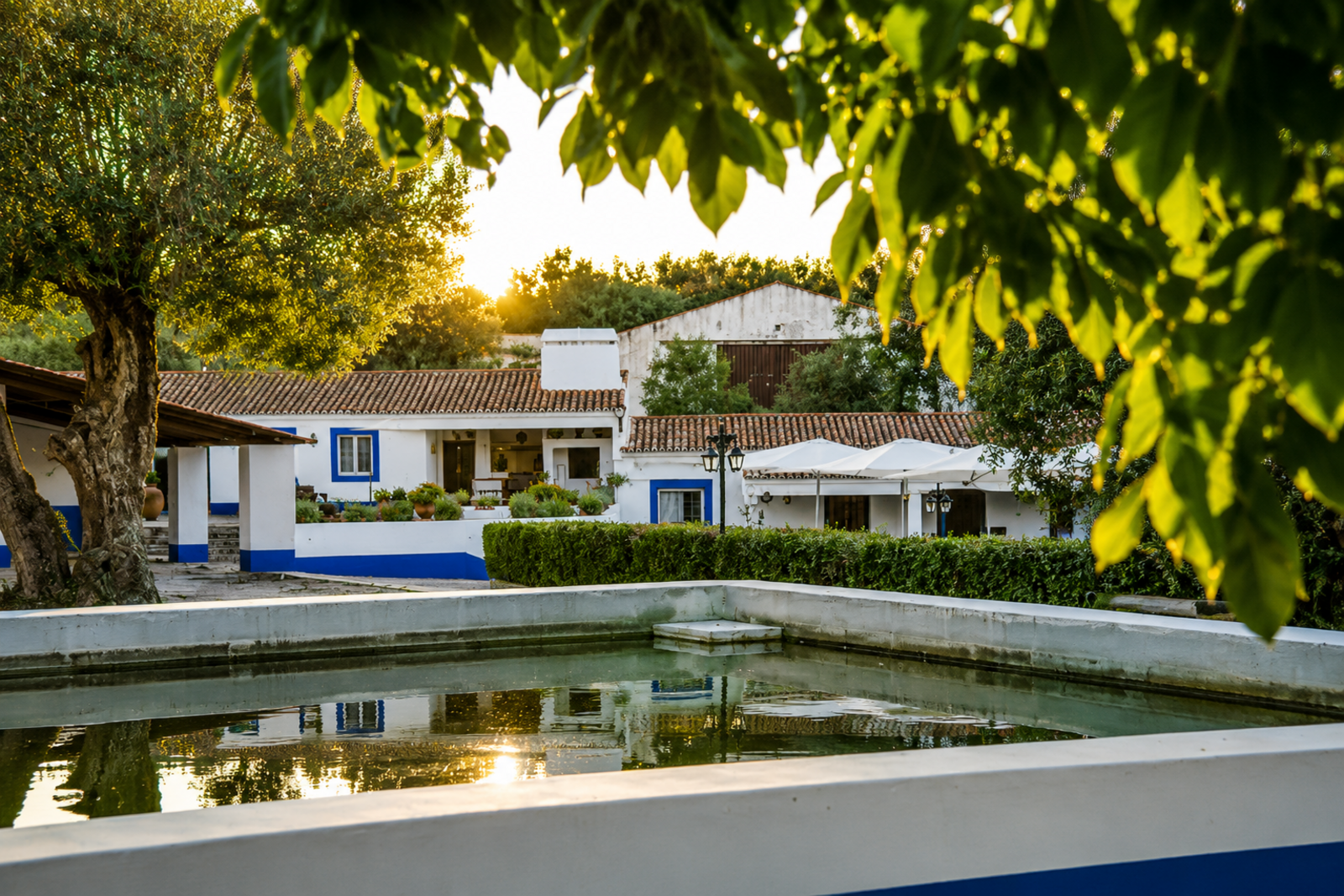 Quinta 13.9 ha, Alcáçovas, Viana do Alentejo - Imagem 37