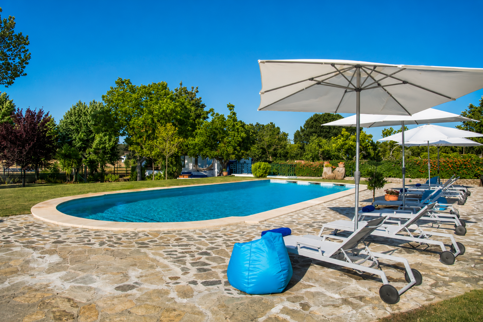 Quinta 13.9 ha, Alcáçovas, Viana do Alentejo - Imagem 26
