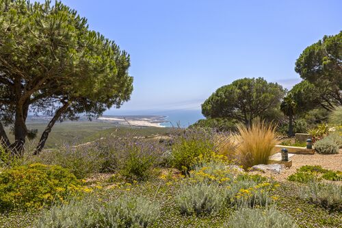 PF40788 - Farm 1.7 ha, Malveira da Serra, Cascais - Image 19