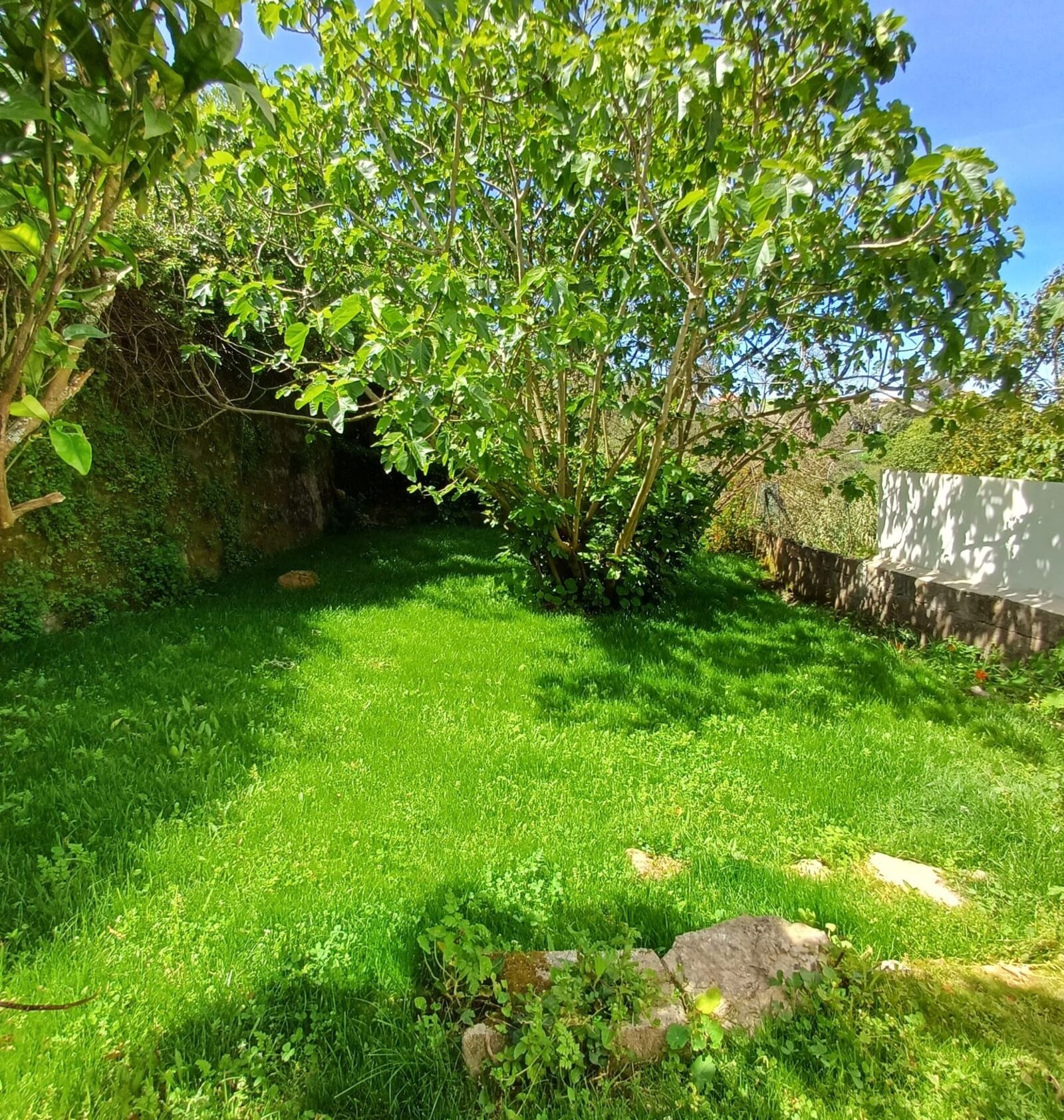 5 Bedroom Apartment with garden, Sintra - Image 6