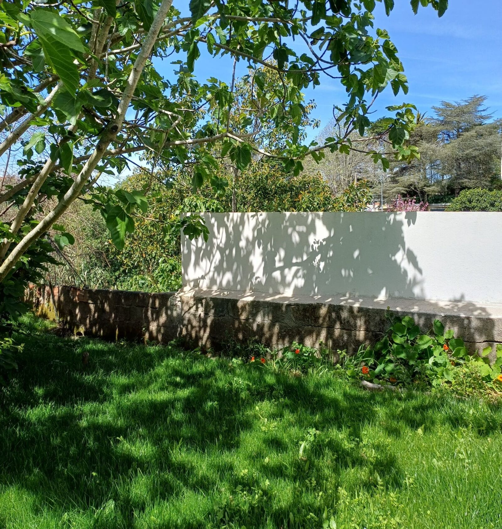 5 Bedroom Apartment with garden, Sintra - Image 26