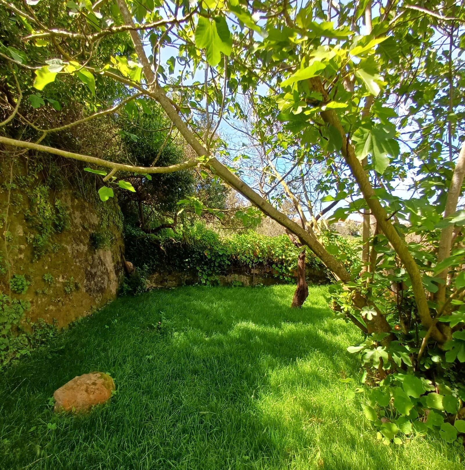 5 Bedroom Apartment with garden, Sintra - Image 27