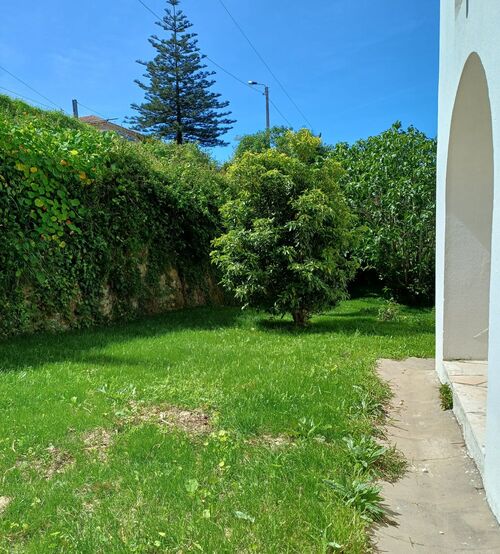 PF40826 - 5 Bedroom Apartment with garden, Sintra - Image 25