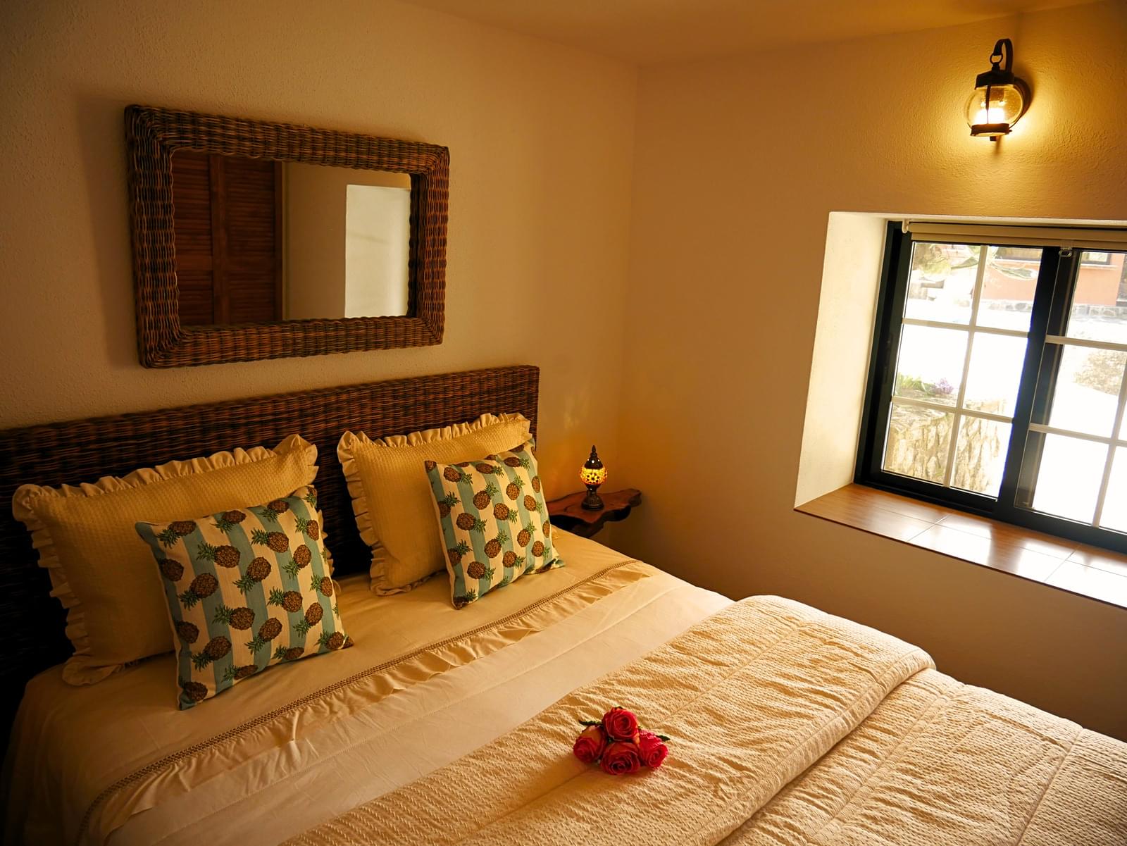 Quinta 10.5 ha - Imagem 8