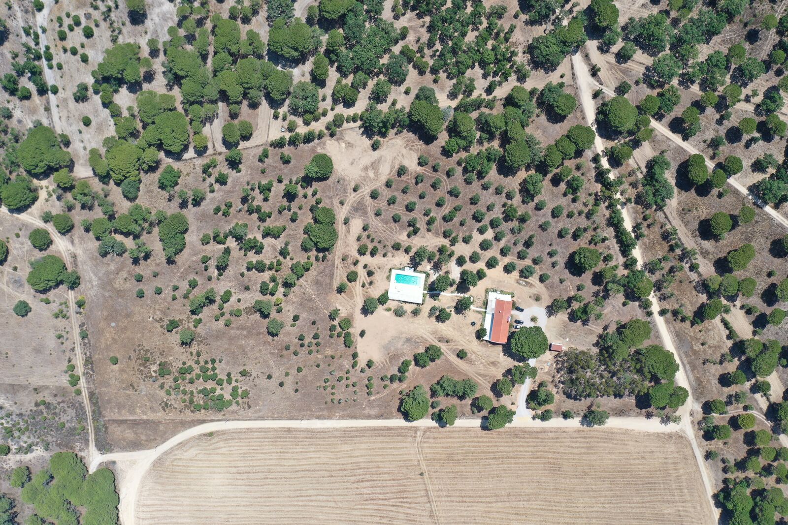 Quinta 4.6 ha, Melides, Grandola - Imagem 53