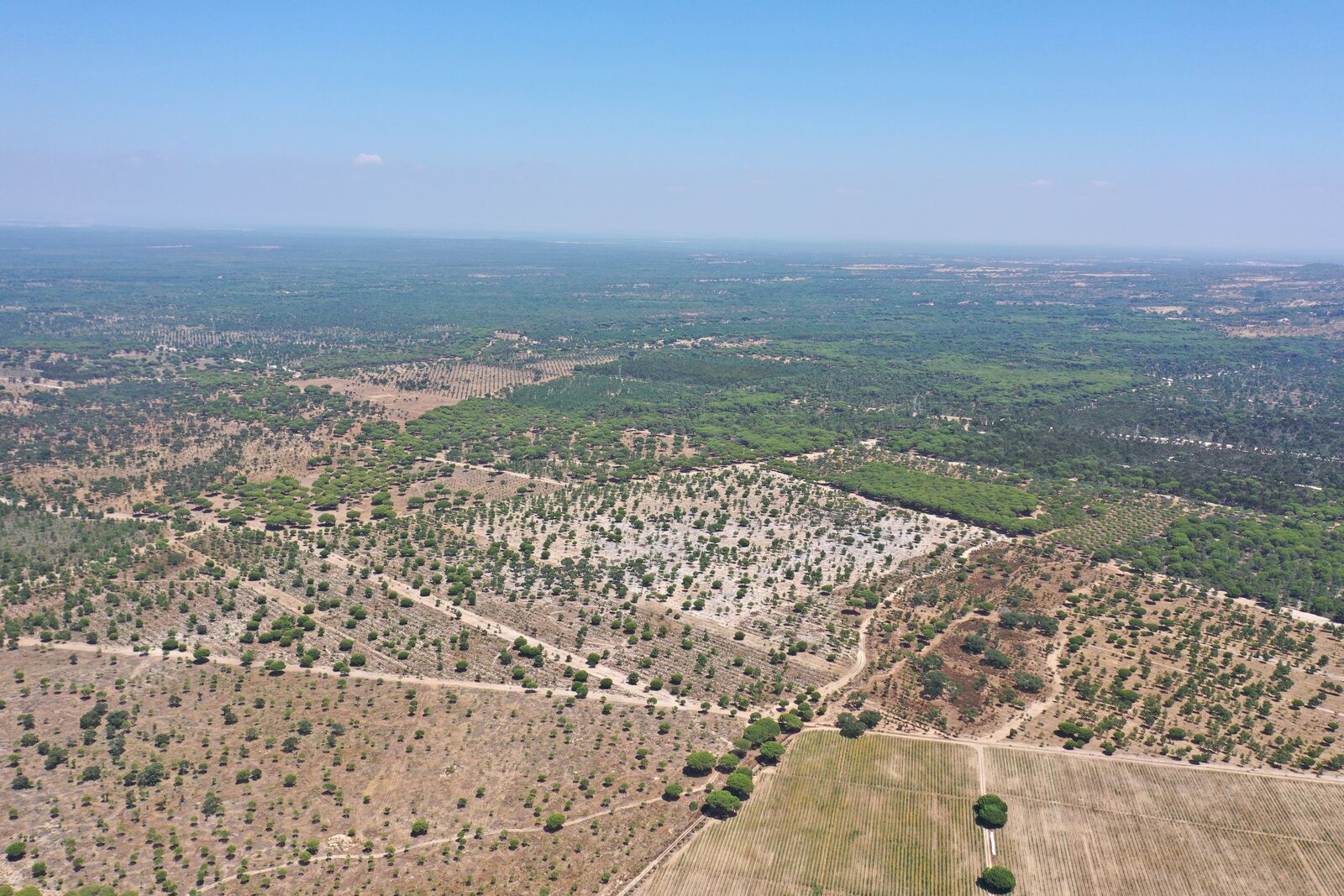 Quinta 4.6 ha, Melides, Grandola - Imagem 59