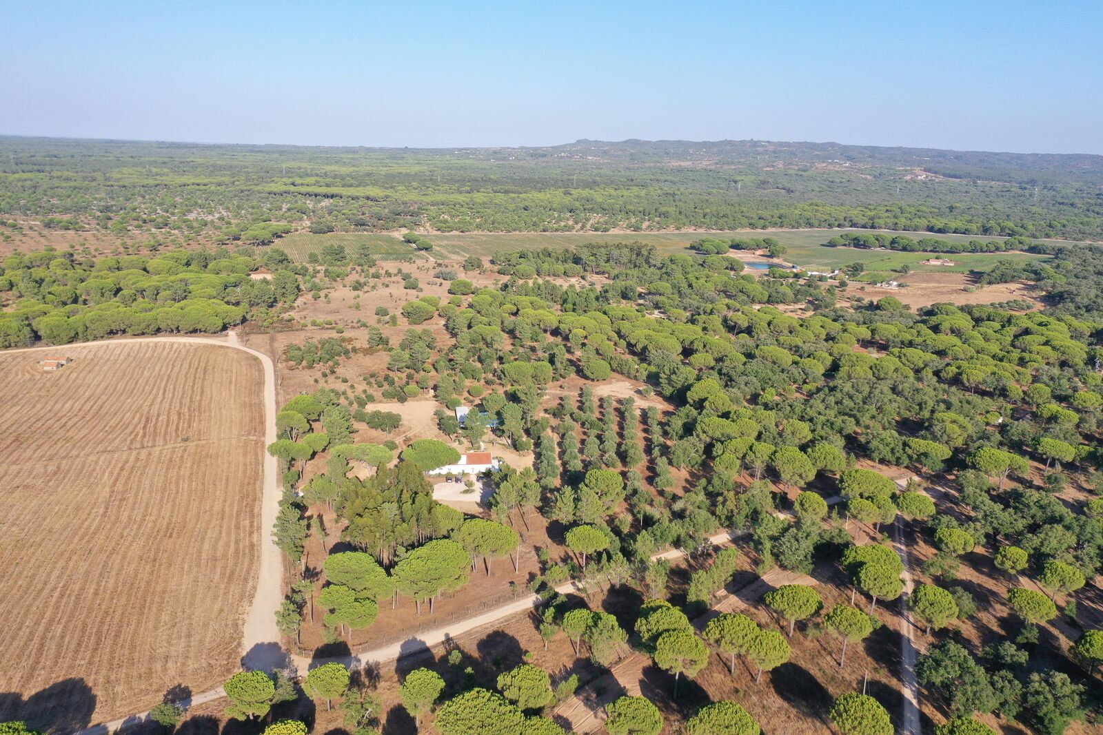 Quinta 4.6 ha, Melides, Grandola - Imagem 62