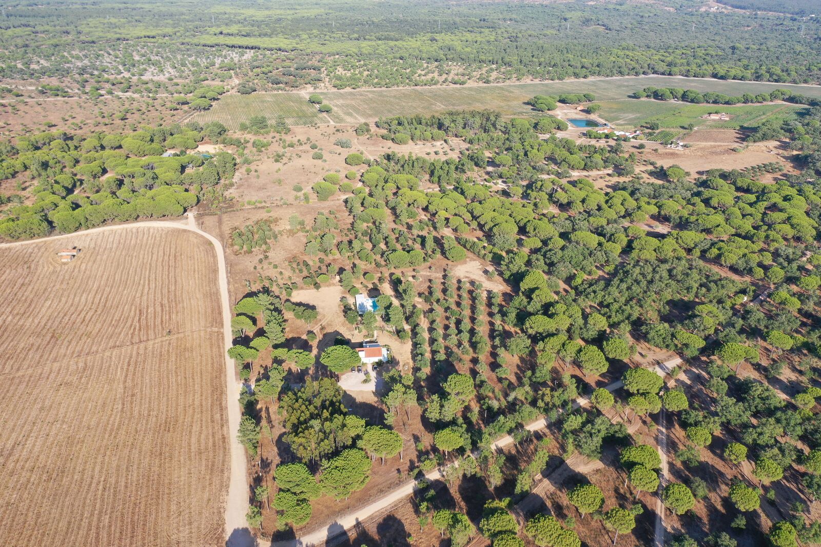 Quinta 4.6 ha, Melides, Grandola - Imagem 63