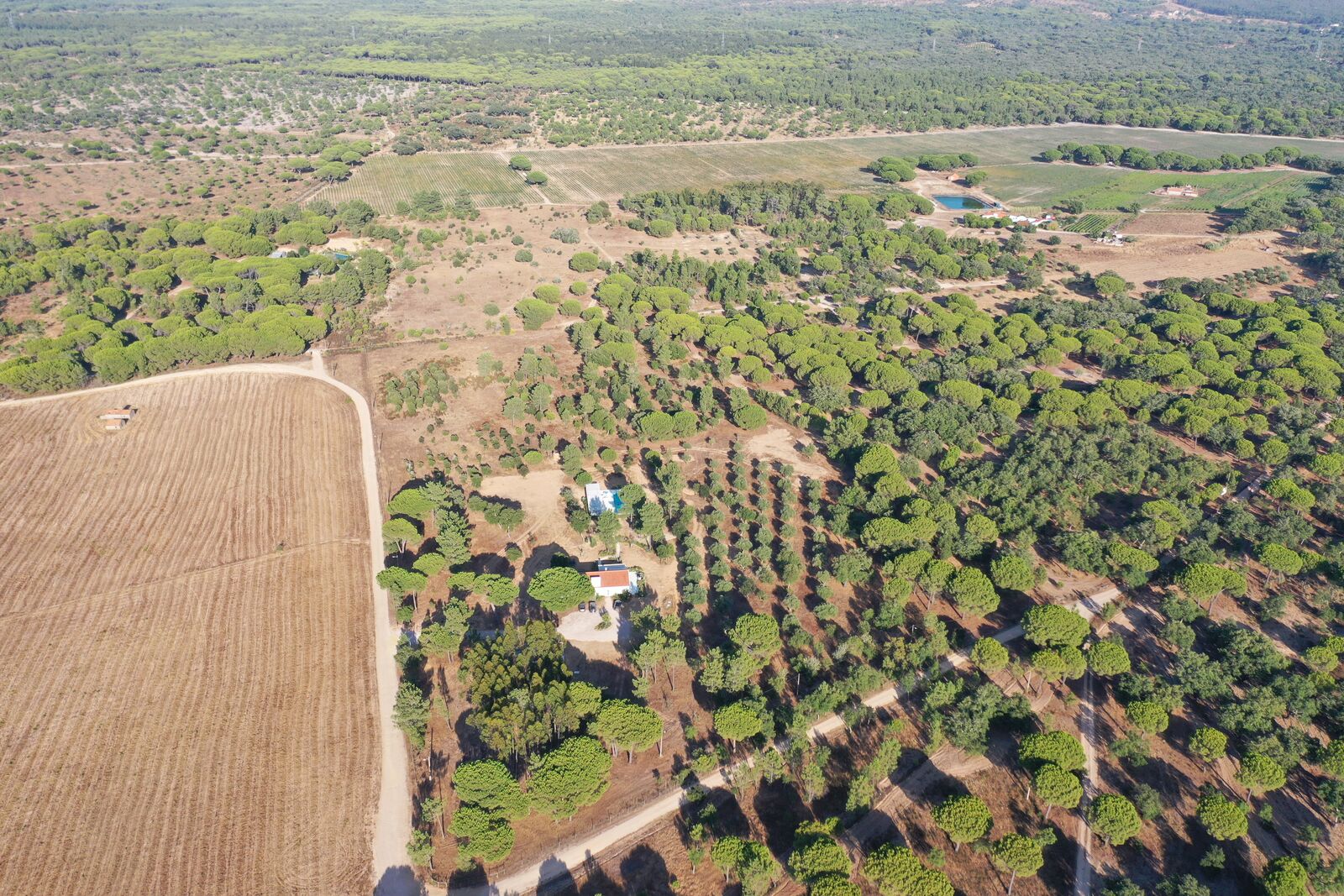 Quinta 4.6 ha, Melides, Grandola - Imagem 64