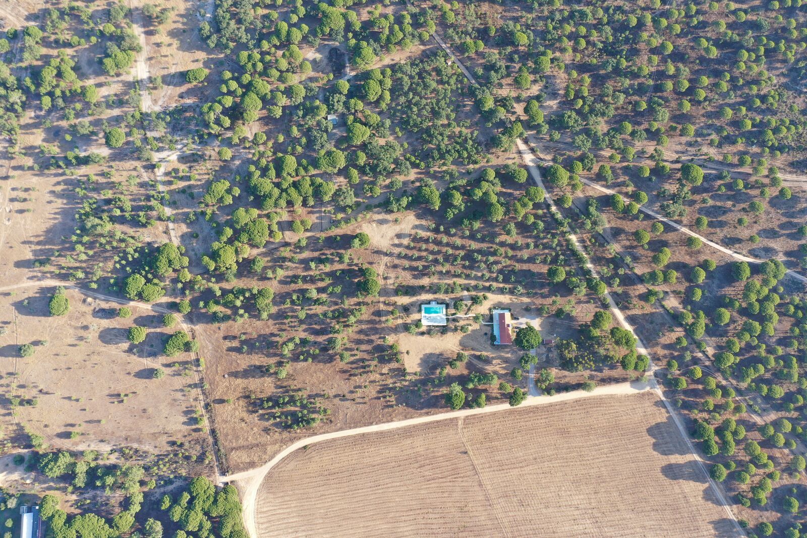 Quinta 4.6 ha, Melides, Grandola - Imagem 65