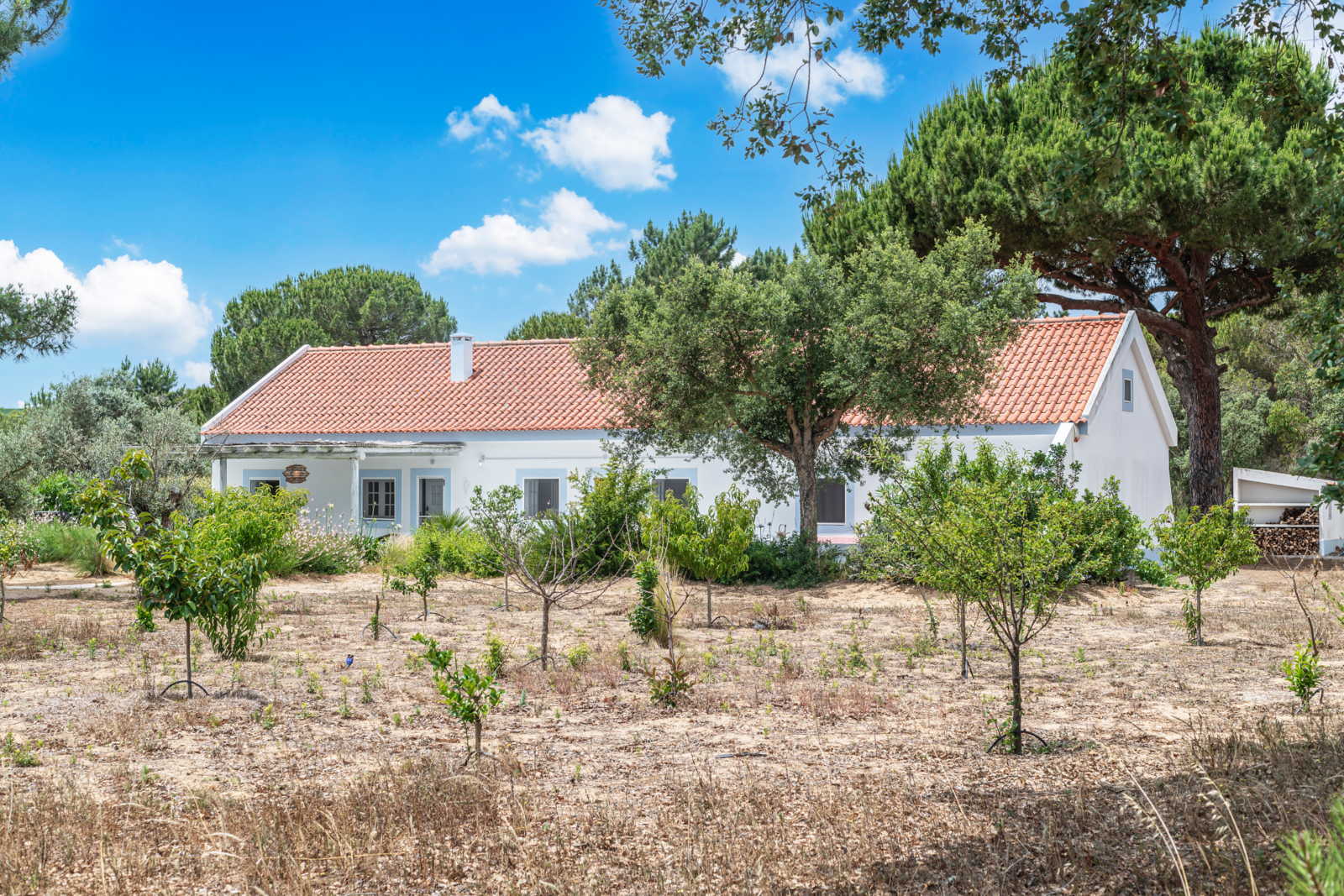 Quinta 4.6 ha, Melides, Grandola - Imagem 43