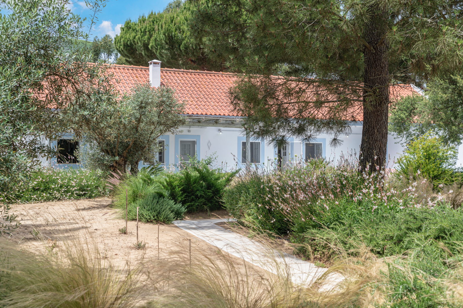 4 Bedroom Farm/Ranch/Plantation's Image 41