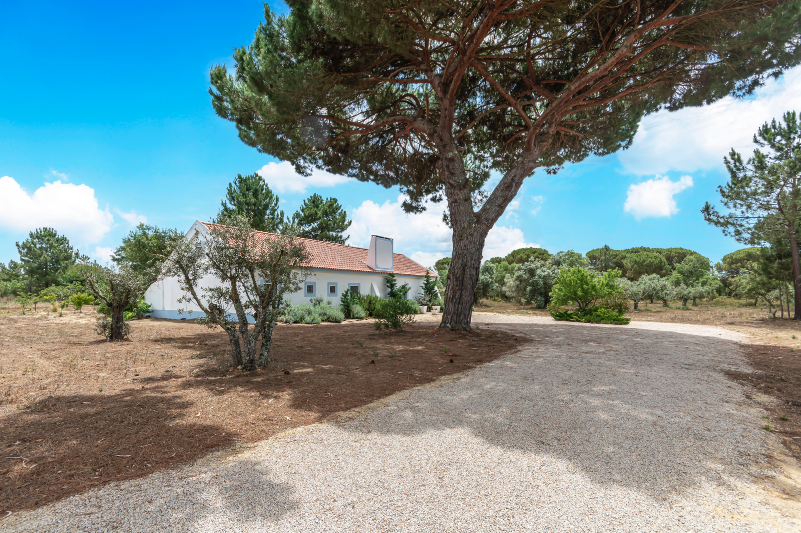 4 Bedroom Farm/Ranch/Plantation's Image 42