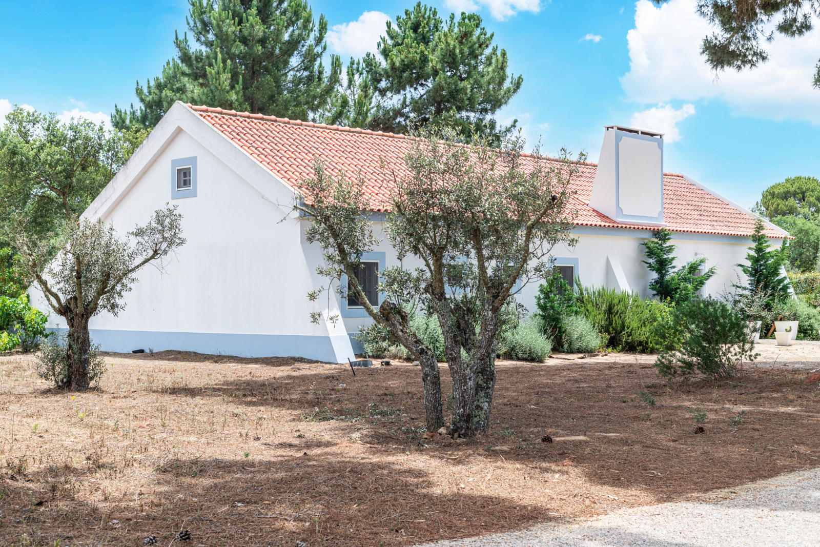 4 Bedroom Farm/Ranch/Plantation's Image 43