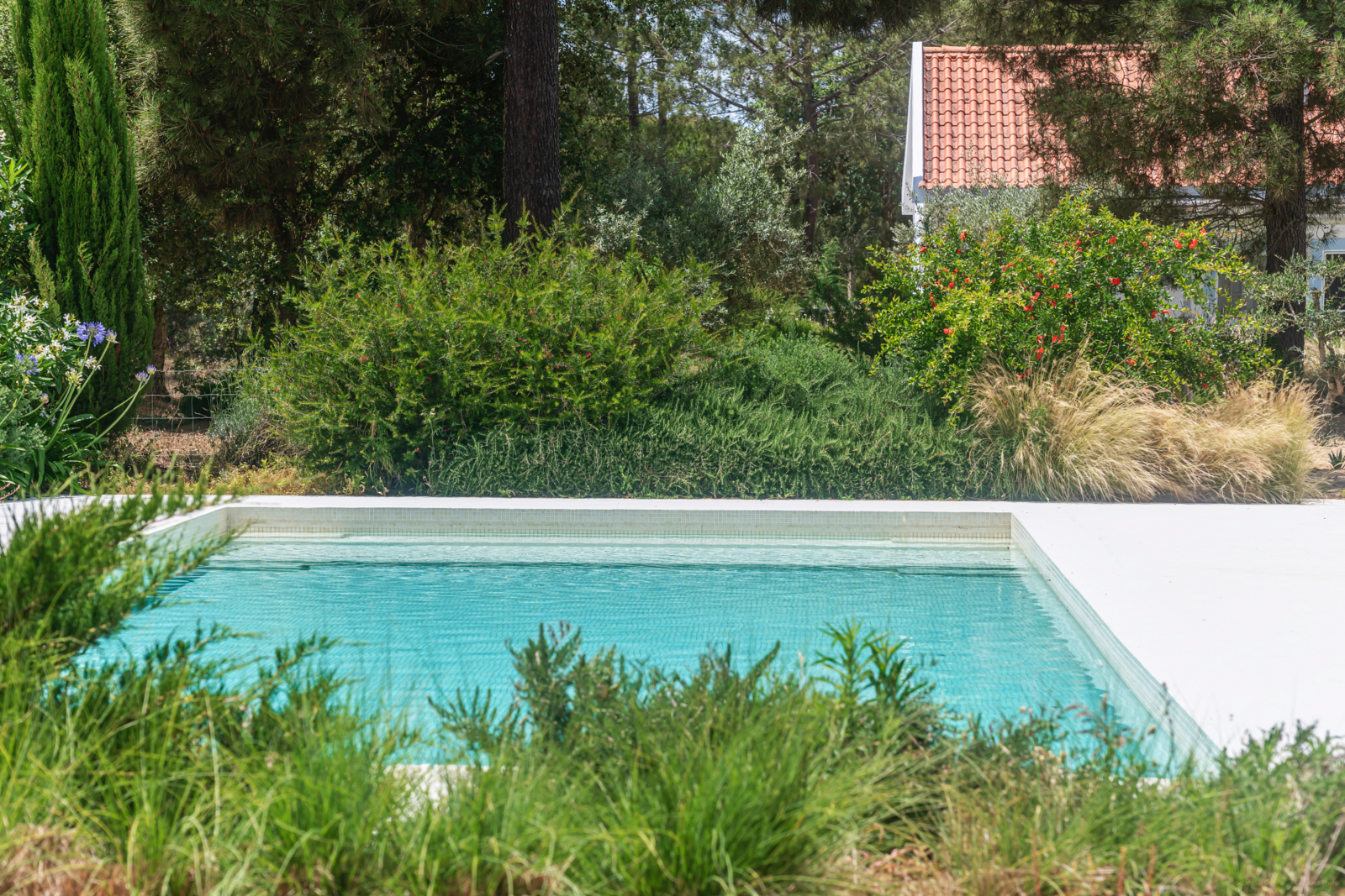 Quinta 4.6 ha, Melides, Grandola - Imagem 5