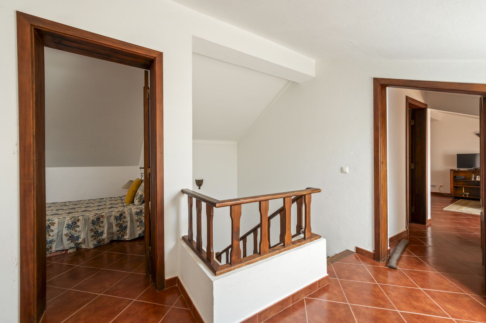 Quintinha 9215 m2, Grandola - Imagem 20