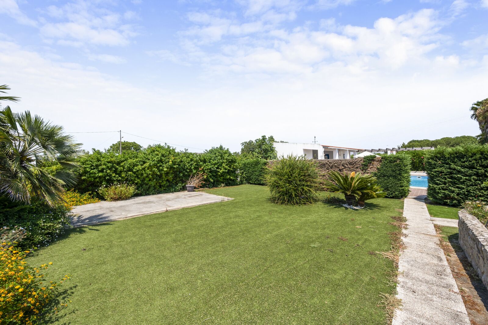 Quintinha 9215 m2, Grandola - Imagem 29
