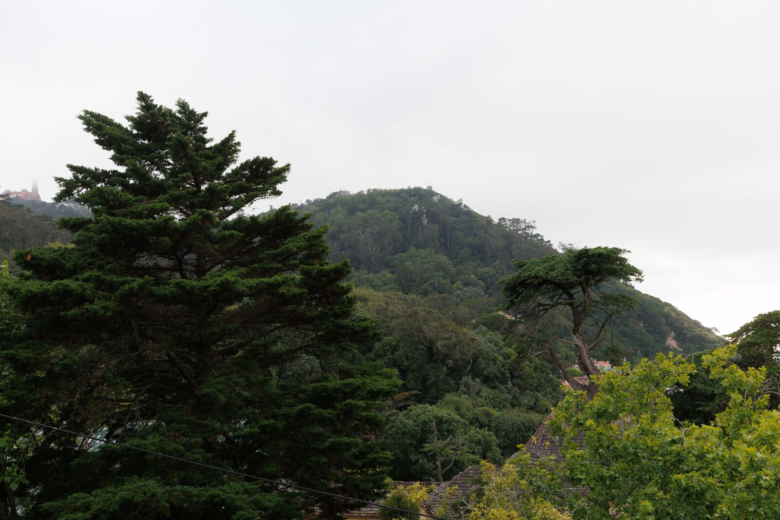Moradia Isolada T6 com jardim, Sintra - Imagem 15