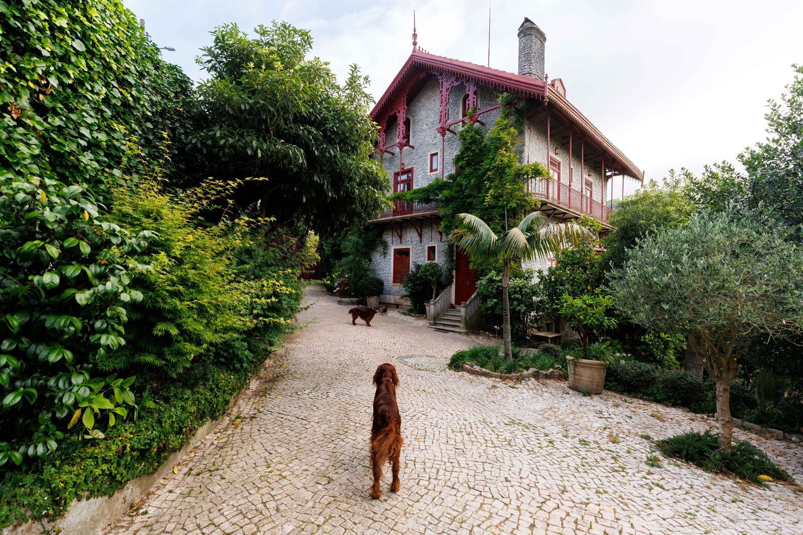 Moradia Isolada T6 com jardim, Sintra - Imagem 35