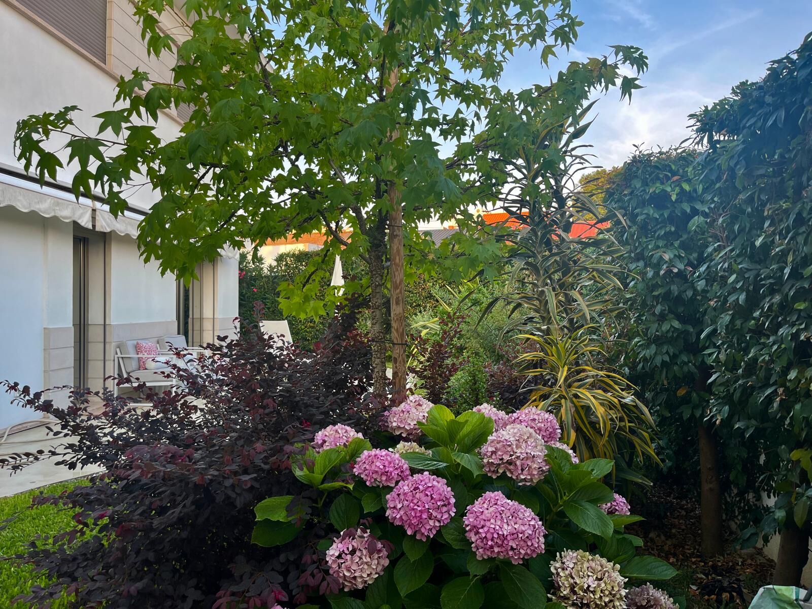 Moradia Isolada T3 + 1 com jardim, Alvide, Cascais - Imagem 34