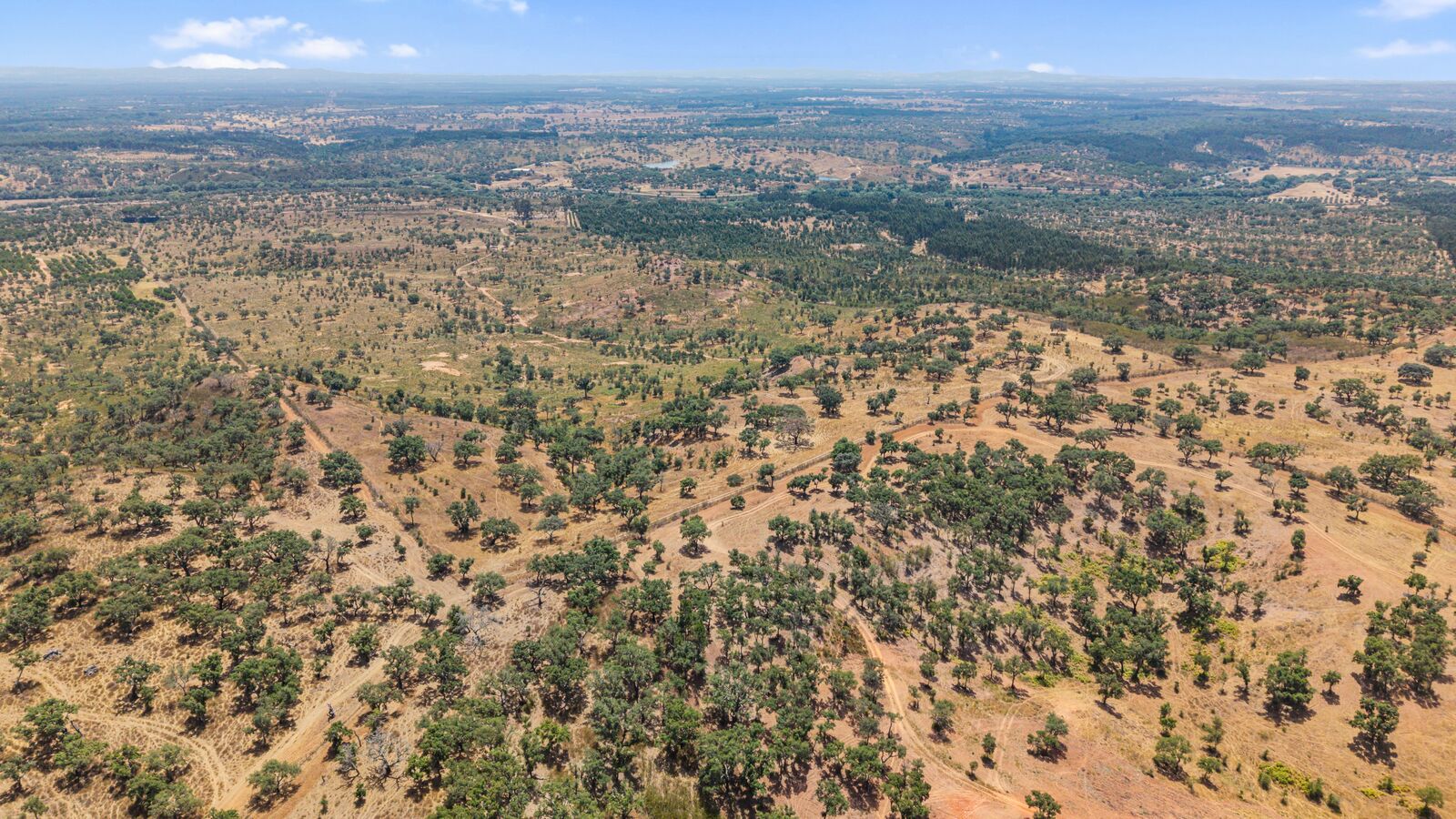 Terreno Rústico 50.0 ha, São Domingos, Santiago do Cacem - Imagem 14