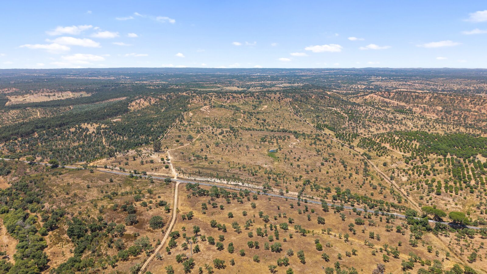 Terreno Rústico 50.0 ha, São Domingos, Santiago do Cacem - Imagem 3