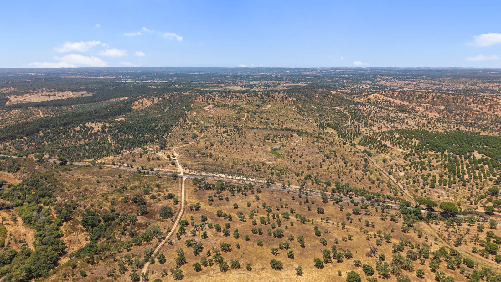 Terreno Rústico 50.0 ha, São Domingos, Santiago do Cacem - Imagem 2