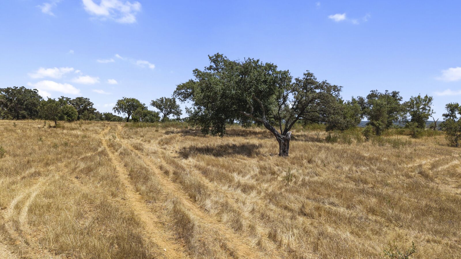 Terreno Rústico 50.0 ha, São Domingos, Santiago do Cacem - Imagem 16