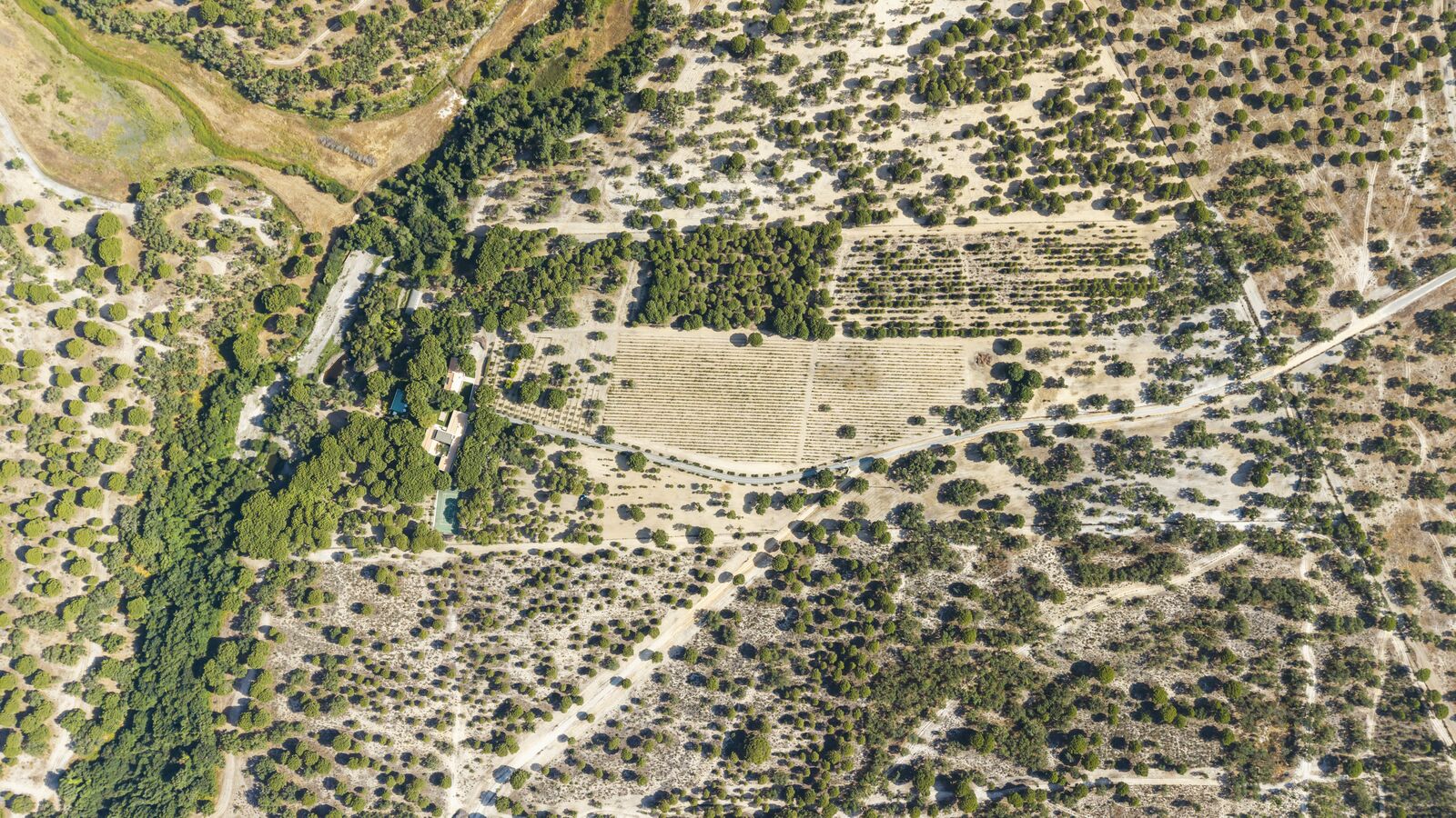 Herdade 20.4 ha, Grandola - Imagem 38