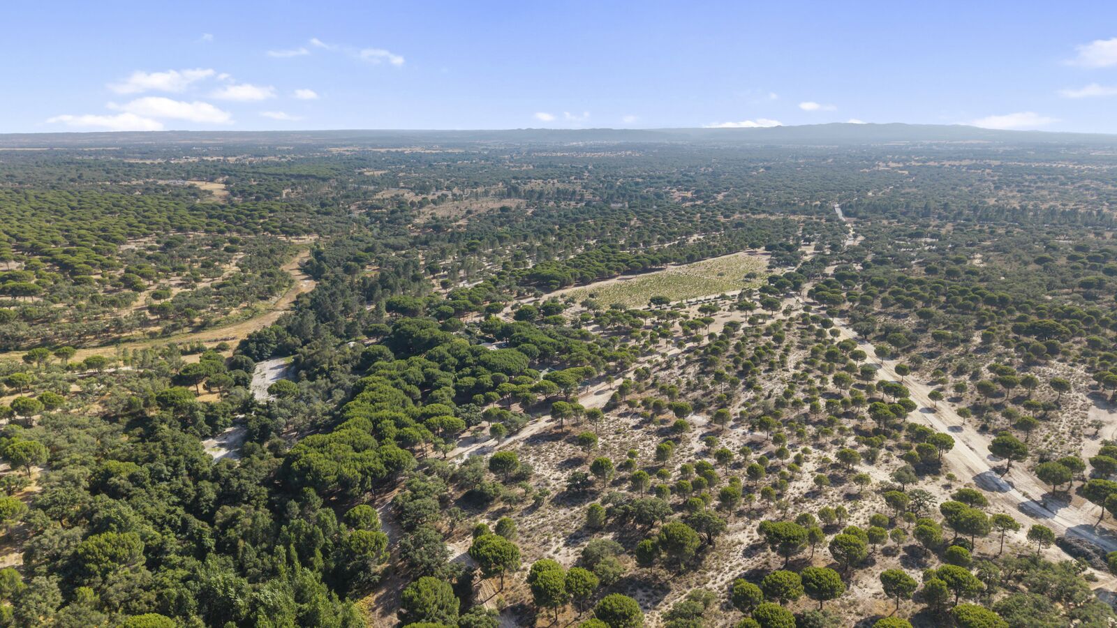 Herdade 20.4 ha, Grandola - Imagem 39