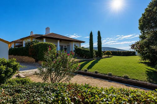 PF41825 - Quinta 9000 m2, Azeitão, Setúbal