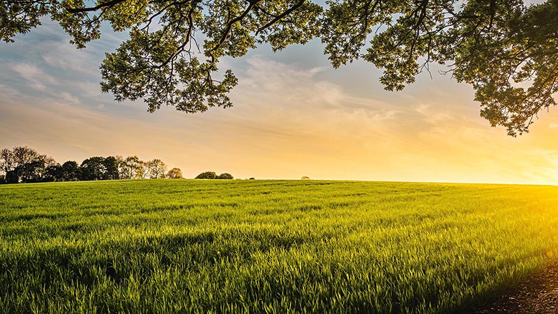 Countryside properties