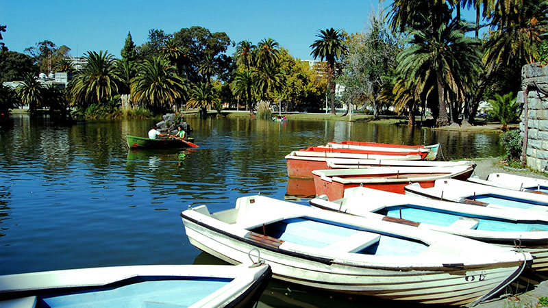 Campo Grande e Entrecampos