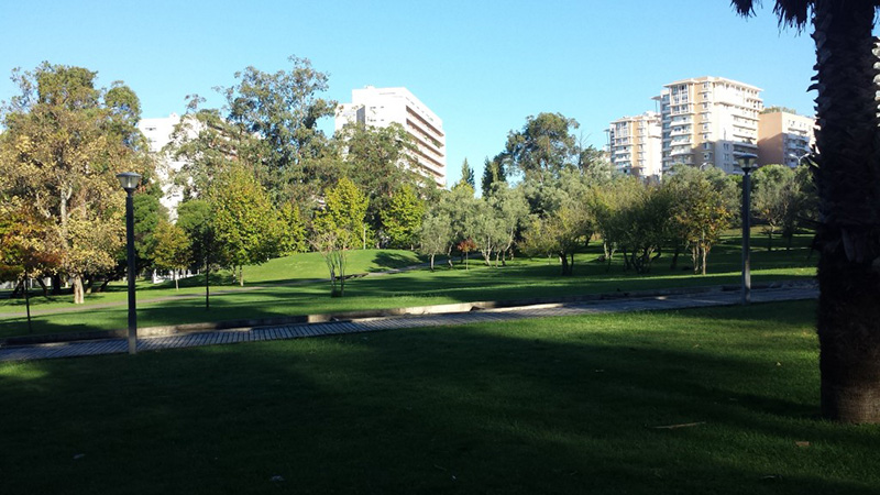 Lumiar, Benfica, Telheiras e Alto dos Moinhos
